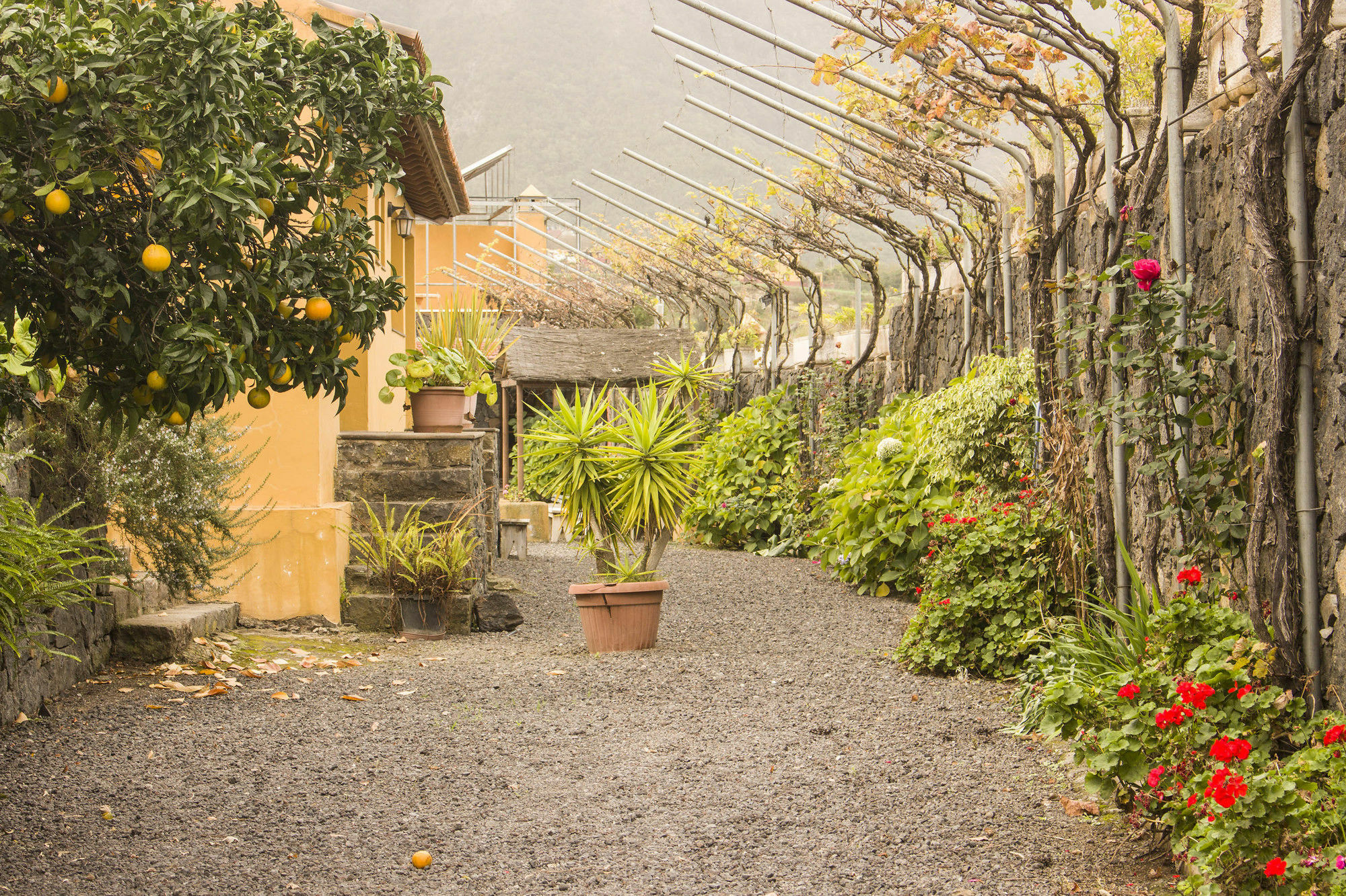 Casa Rural La Tanquera 洛斯雷尔雷赫斯 外观 照片